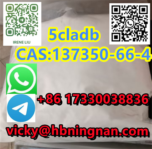 Direct Selling High Purity 5cladb 99% Powder CAS:137350-66-4 Ningnan