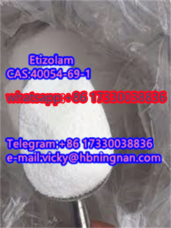 Direct Selling High Purity Etizolam 99
