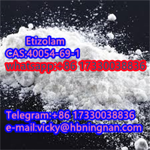 Direct Selling High Purity Etizolam 99% Powder CAS:40054-69-1 Ningnan