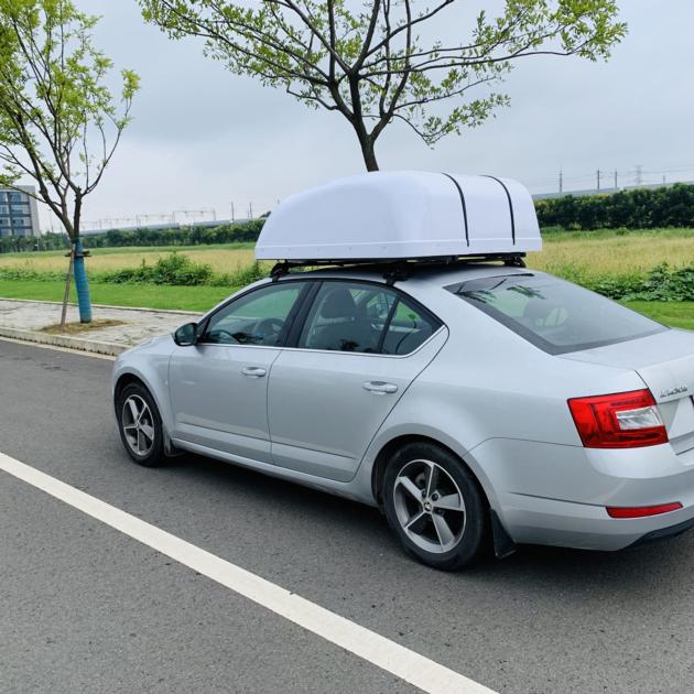 WCT Wheelchair Car Roof Box