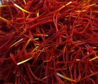 saffron spices of pushal grade