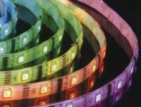 led flexible lights