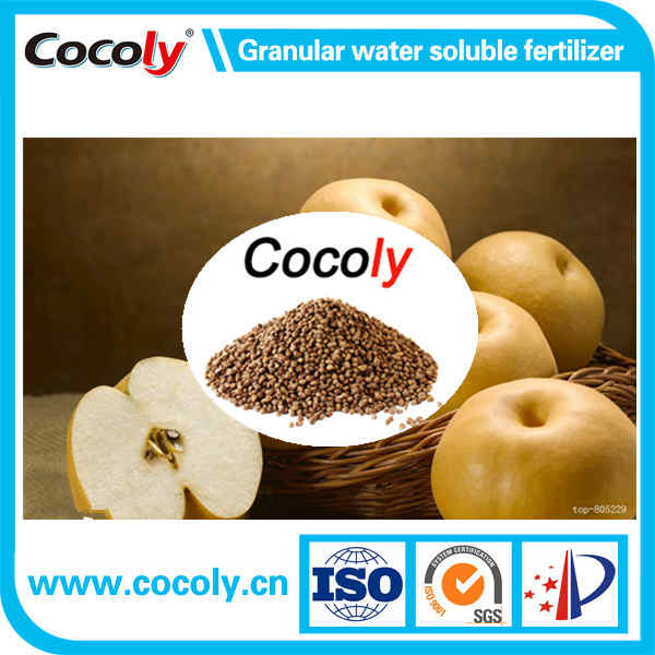 Cocoly High-Effency Bacteria Added NPK Water-Soluble Fertilizer