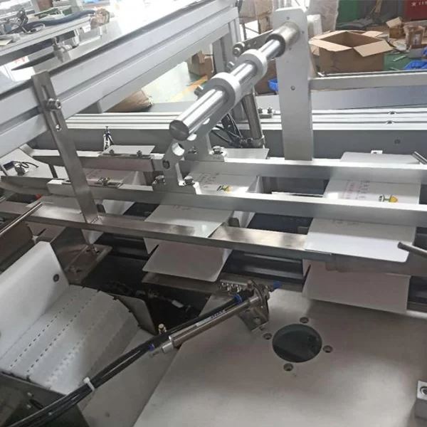 Carton Packing Machine price