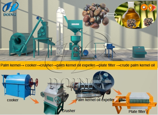 High Oil Yield Factory Price Palm
