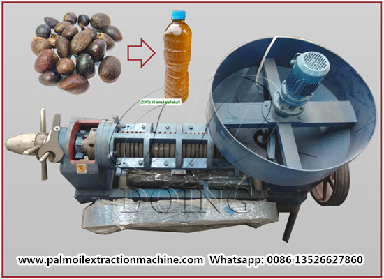 GOOD QUALITY palm kernel oil processing machine for sale