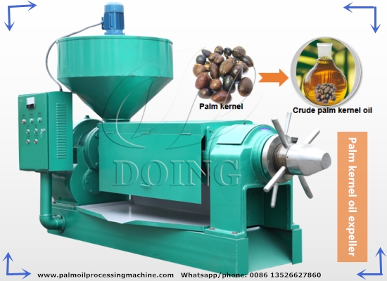 high oil yield factory price palm kernel oil processing extracting machine for sale