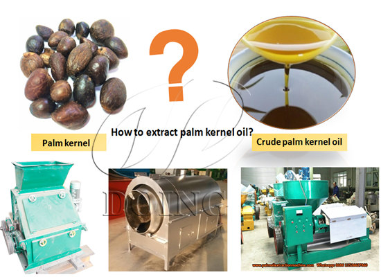 High Performance Palm Kernel Oil Processing