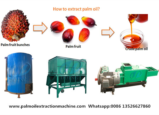 mini palm oil presser for extracting palm oil