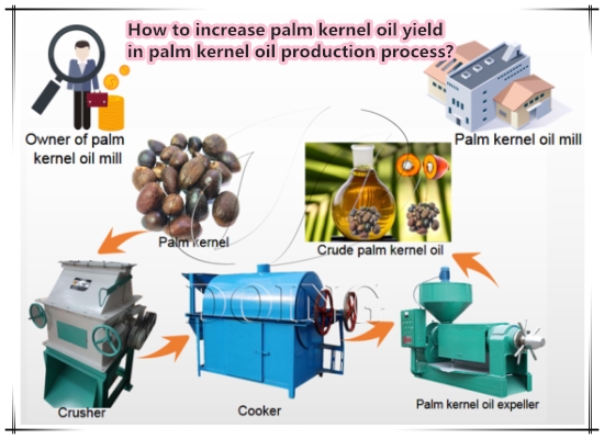High Oil Yield Factory Price Palm