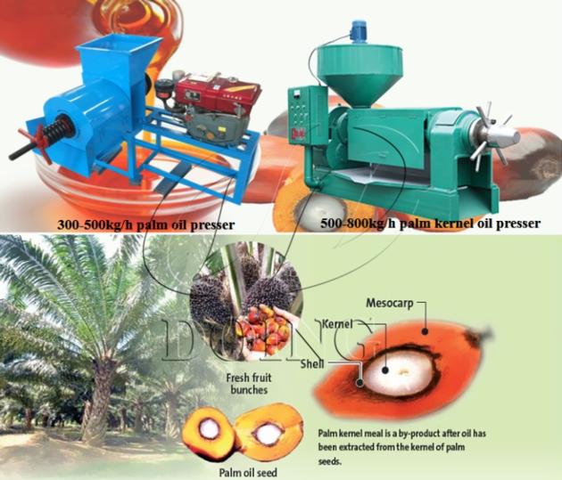 Small Scale Palm Oil Processing Machine