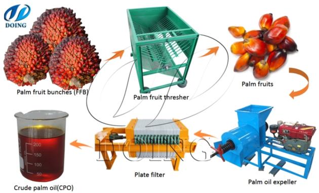 Small scale palm oil processing machine