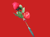 Record Rose(LE-068)