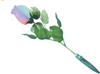 flash rose(LE-068A)