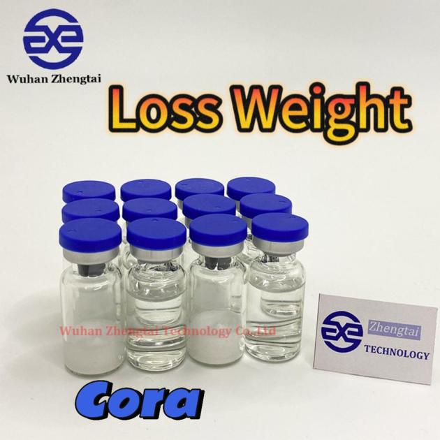 Weight Loss Pen Semaglutide