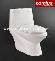 Washdown one piece toilet