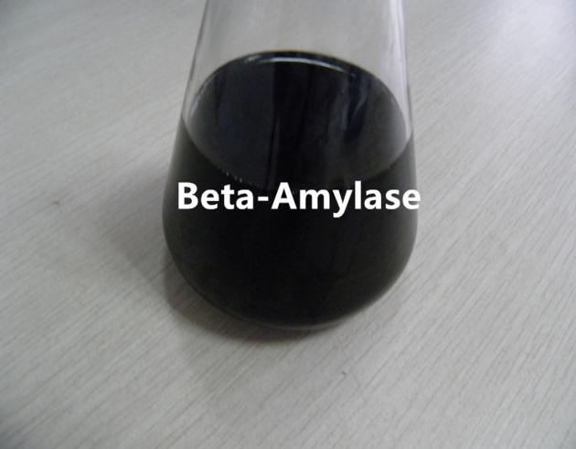 Beta-Amylase