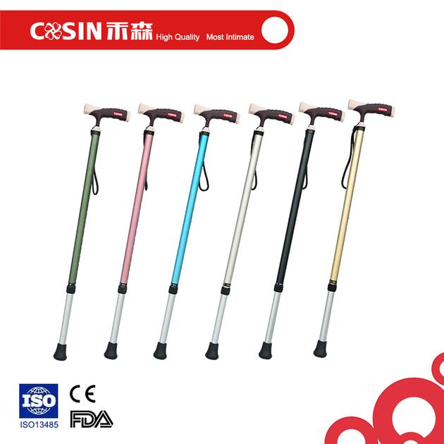 walking stick