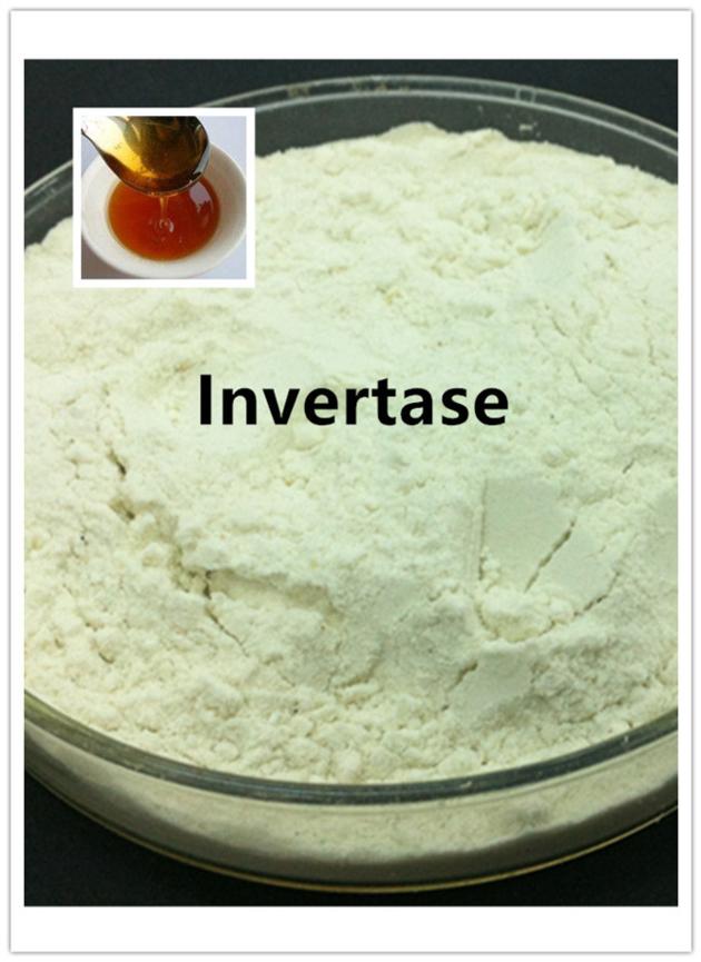 High Quality Invertase Enzyme To Produce
