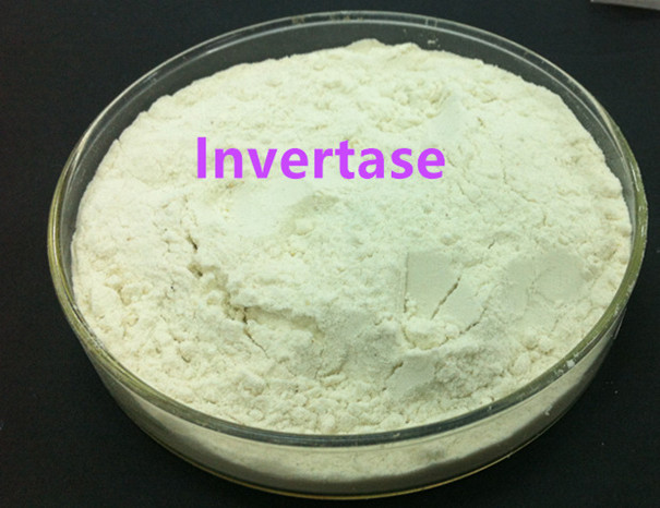 High Quality Invertase Enzyme to Produce Invert Syrup