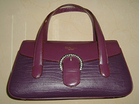 Fashion Handbag(HBS-477)