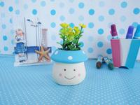ceramic pot, flower garden pot