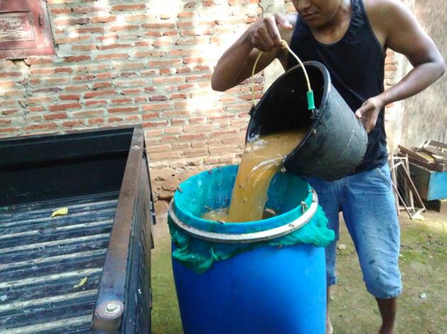 Bulk Honey