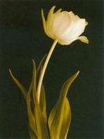 photo print