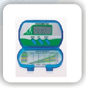 Calorie pedometer