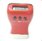 Calorie pedometer