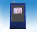 Flash MP4 Player