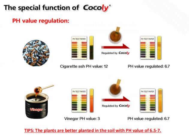 Cocoly High Effency Bacteria Added NPK