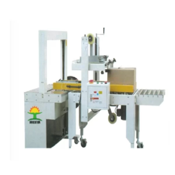 Belt Strapping Machine KY-600DB
