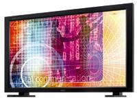 NEC 4010 LCD