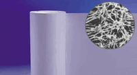 Fuel Cell proton exchange Membrane