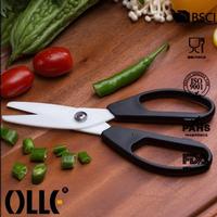 Ceramic Double Blade Kitchen Scissors 