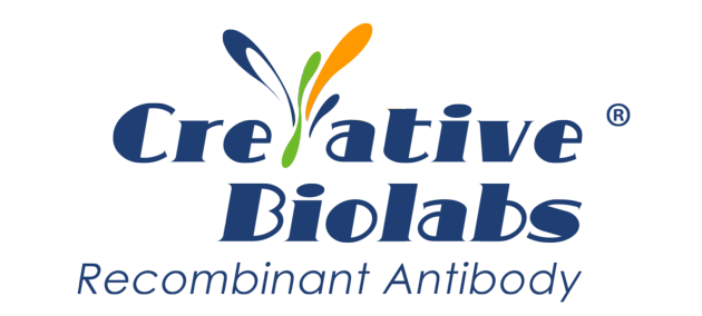 Anti-R. salmoninarum Polyclonal Antibody