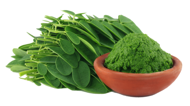 Moringa Powder