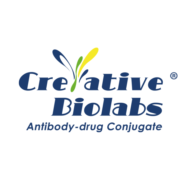 Anti-CR2 (THB-5)-MCC-DM1 ADC