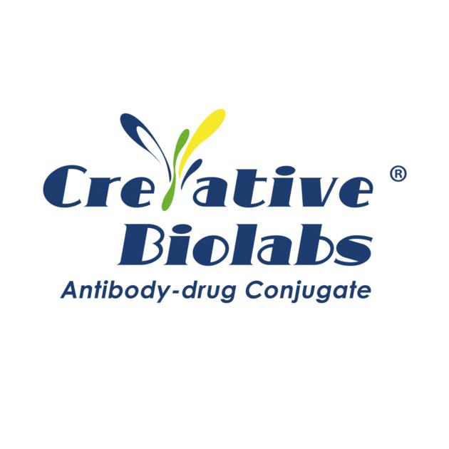 Anti-CD40 (Lucatumumab)-MC-MMAF ADC