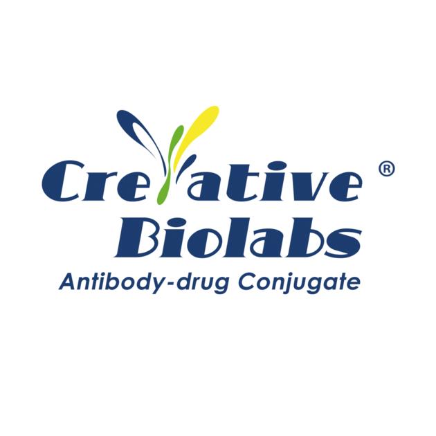 Anti-CD44 (clone BIWA 4)-DM1 ADC