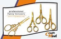 Fancy Scissors / Embroider Scissors