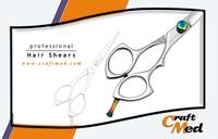Professional Barber Shears 