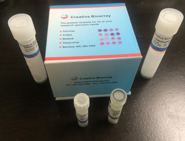 QualiCell&not; Induced Pluripotent Stem Cell-XLC099