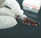 RNA Sample