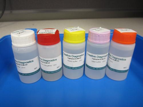 MMP-9 Antigen