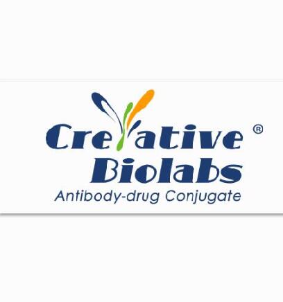 Anti-CD33 (clone hP67.6)-AcBut-calicheamicin ADC