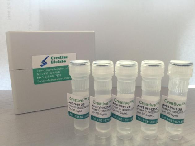 Recombinant Anti-IAV NA VHH Single Domain Antibody