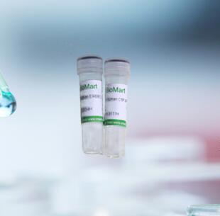 Recombinant Mouse Nrp2 protein, Fc-tagged