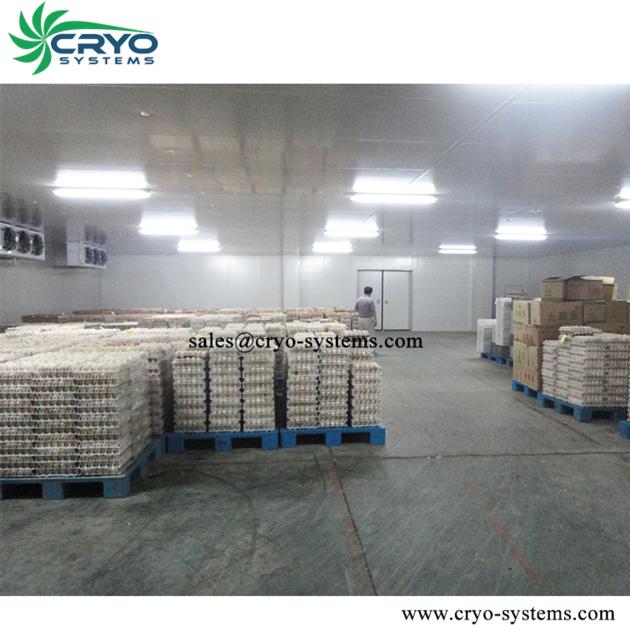 Cold Room/Processing Room/Freezer Room/Blast Freezer With Condensing Units